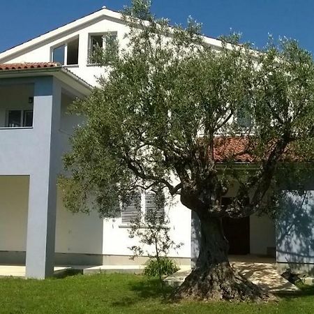 Apartments Villa Ulivo - Apartment Sol 法扎纳 外观 照片