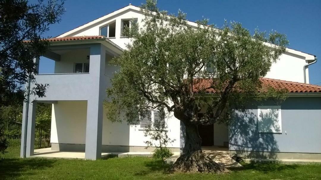 Apartments Villa Ulivo - Apartment Sol 法扎纳 外观 照片